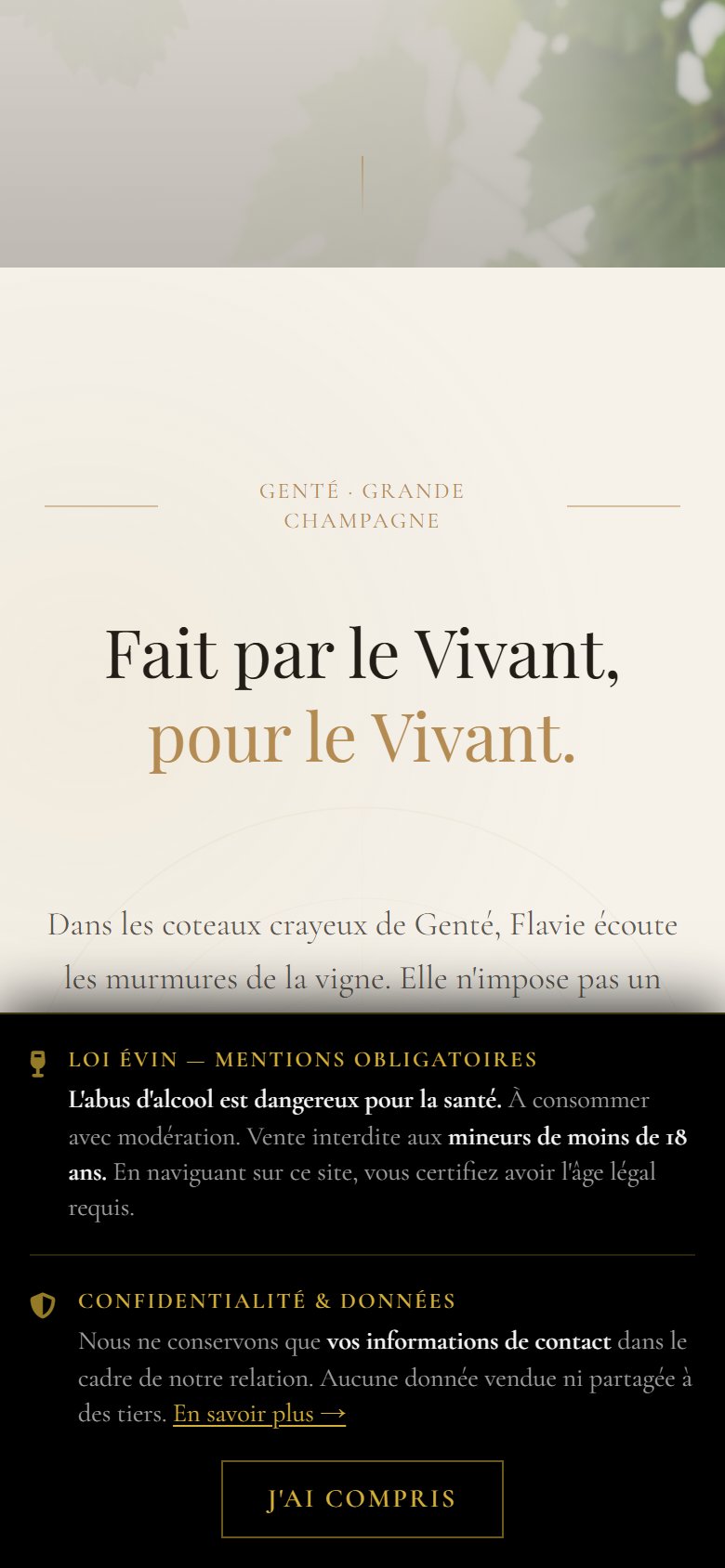 Vue mobile : navigation tactile fluide sur le fil de visite